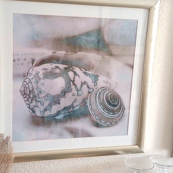 Set of 3 MAT Coastal gems prints/ John Seba . - Picture 3 of 8